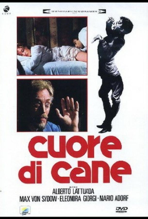 Собачье сердце